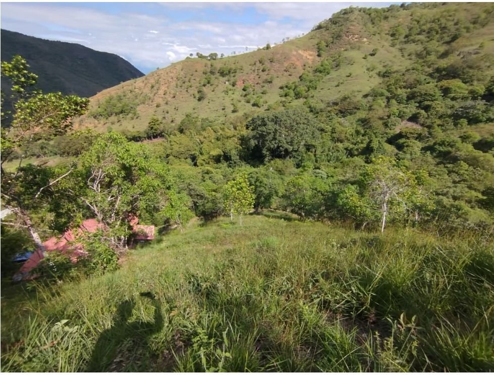 Finca campestre en venta de 10.000 m² en Villa María, Vijes Valle del Cauca