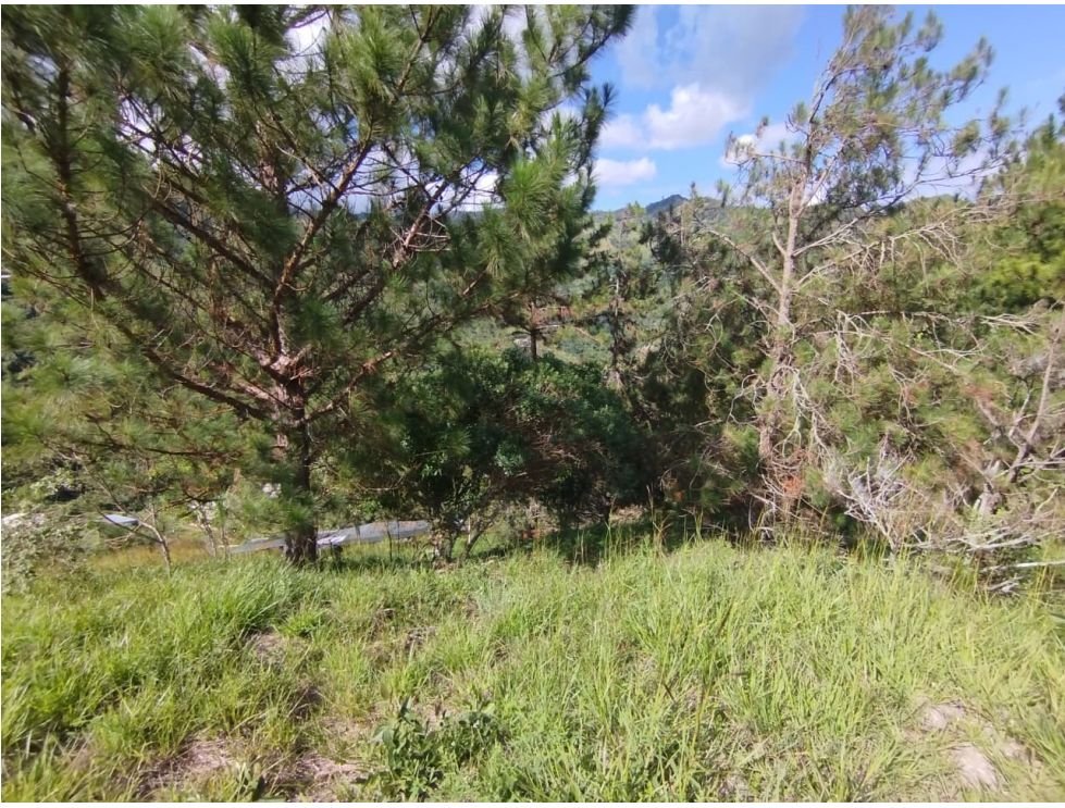 Finca campestre en venta de 10.000 m² en Villa María, Vijes Valle del Cauca