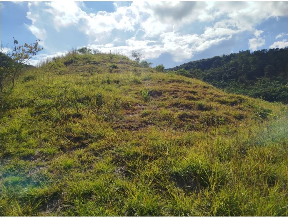 Finca campestre en venta de 10.000 m² en Villa María, Vijes Valle del Cauca