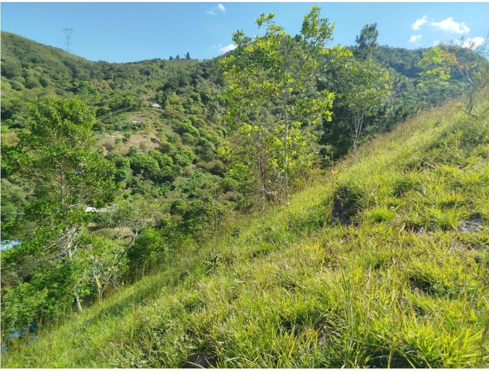 Finca campestre en venta de 10.000 m² en Villa María, Vijes Valle del Cauca