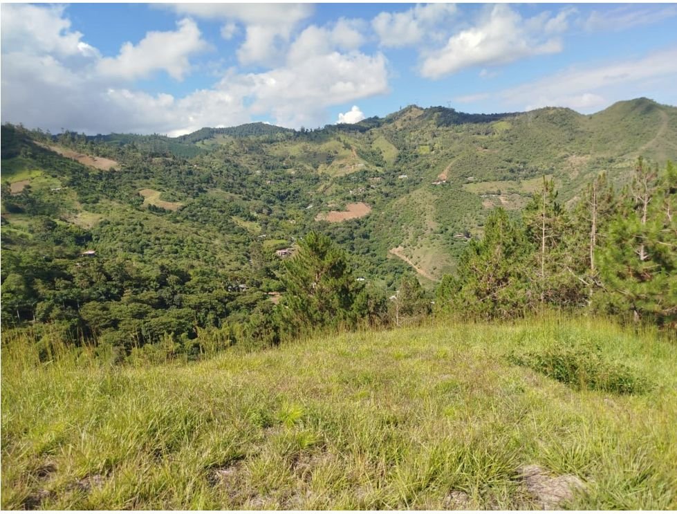 Finca campestre en venta de 10.000 m² en Villa María, Vijes Valle del Cauca