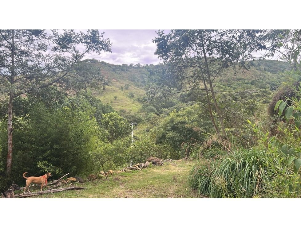 Finca campestre en venta de 10.000 m² en Villa María, Vijes Valle del Cauca